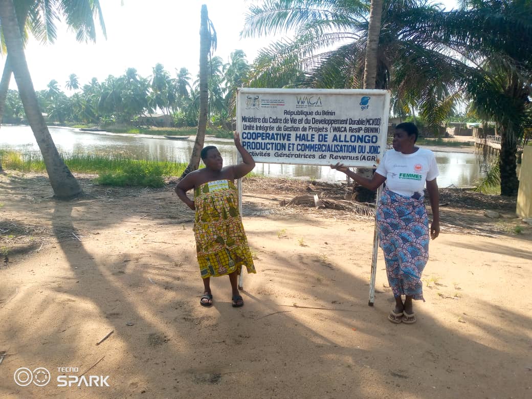 Historique CREDD-ONG