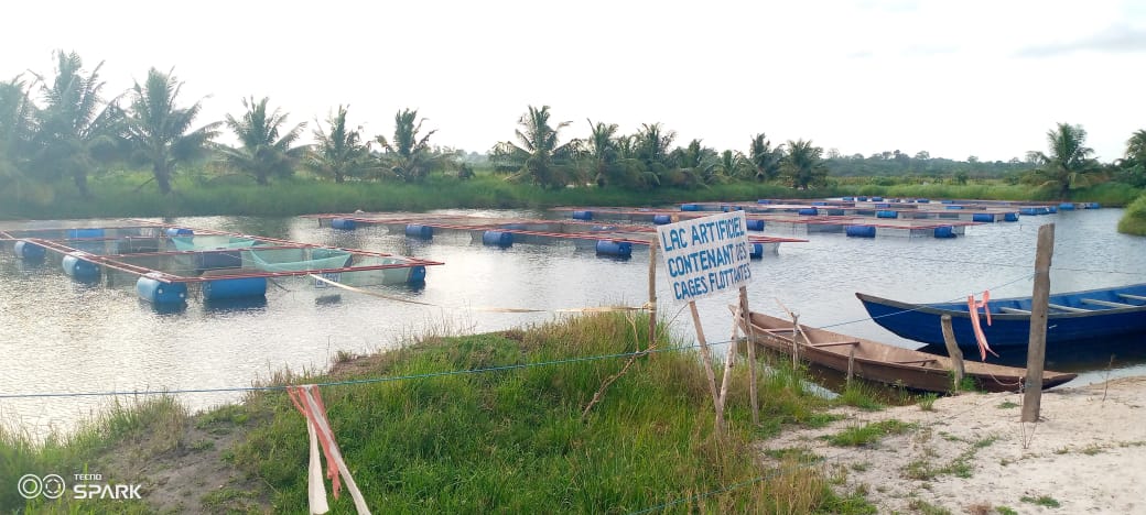 Santé et assainissement